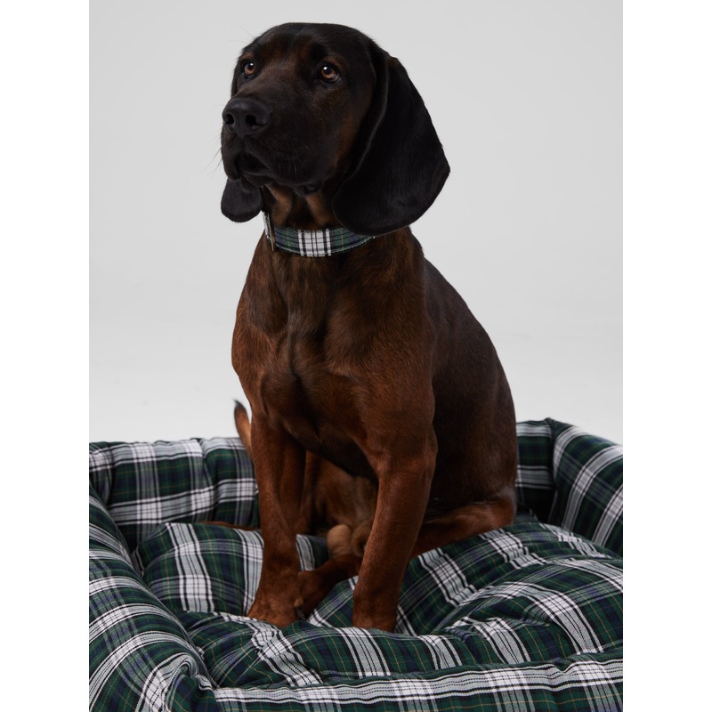 Collar perro SILBONxLADRANGAUCHO tartan