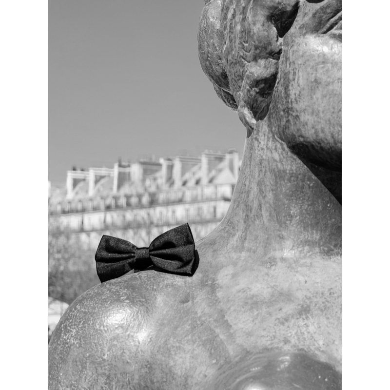 Pajarita terciopelo negra|ST|NEGRO