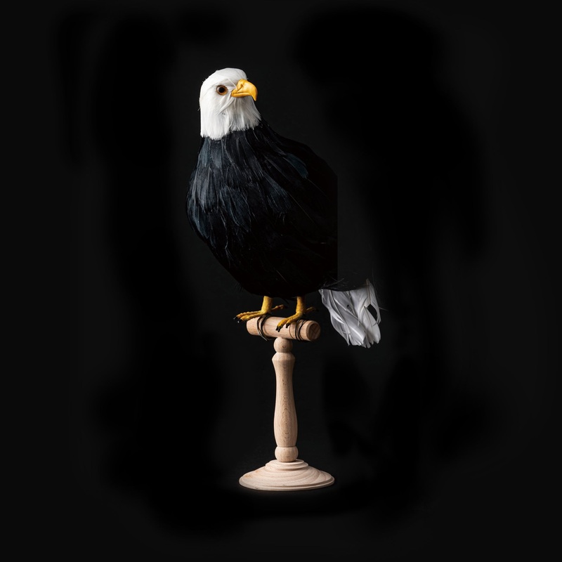 ARTIFICIAL BIRDS Hawk / Large