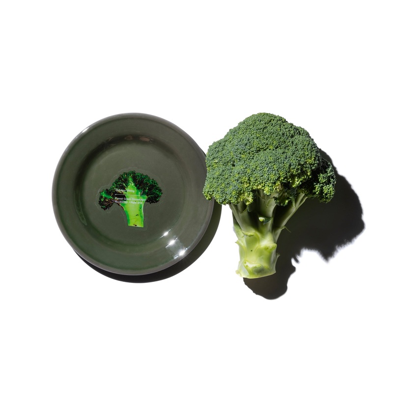 FOREST GREEN DINNERWARE Plate / 16