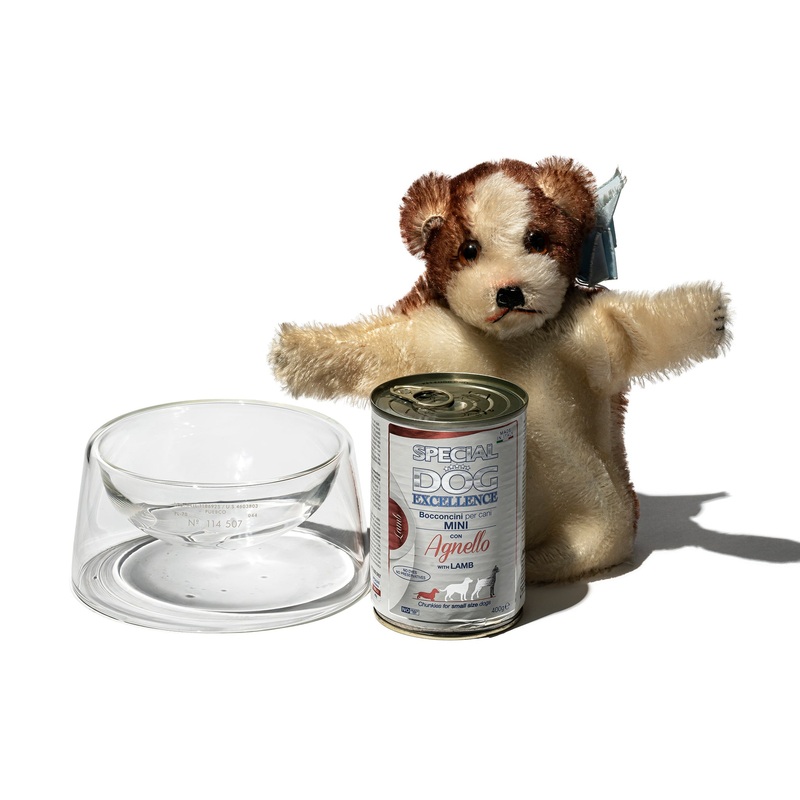 BOROSILICATE GLASS PET BOWL