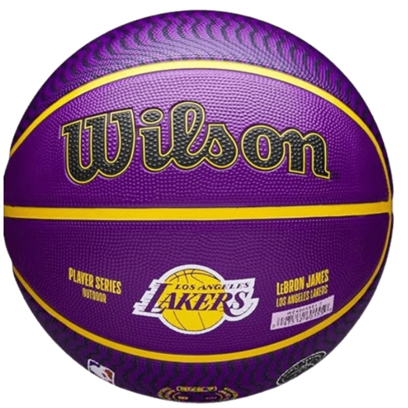 NBA PLAYER ICON OUTDOOR BASKETBALL LEBRON Y 7