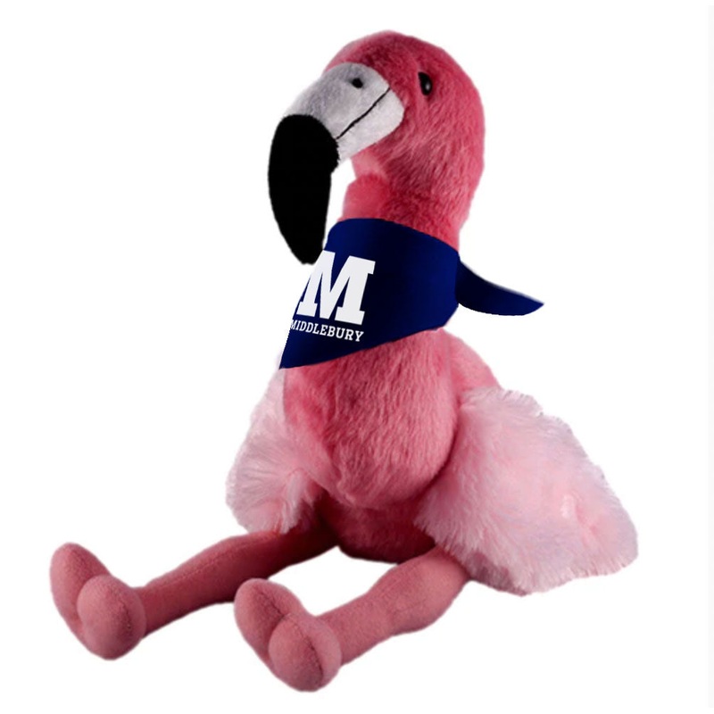 Middlebury Flamingo
