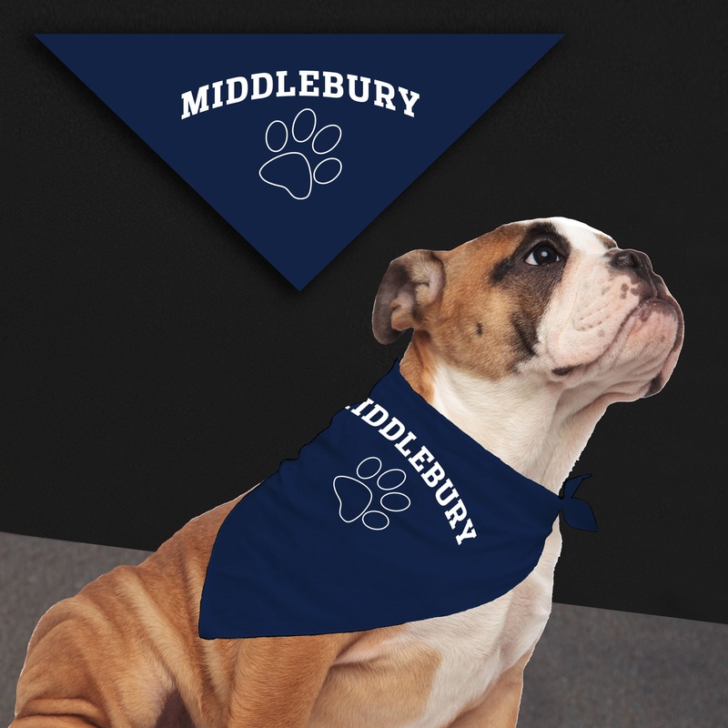 Middlebury Dog Bandana – Size Small